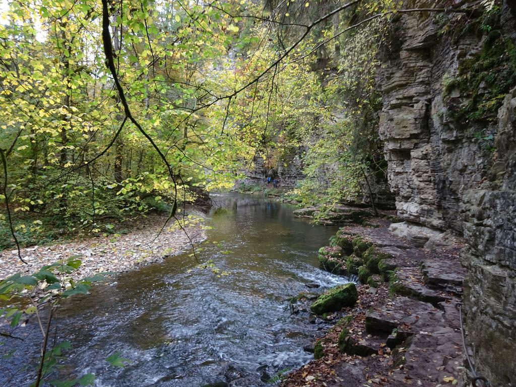 Wildkraeuter-Gasthof Linde Löffingen Buitenkant foto