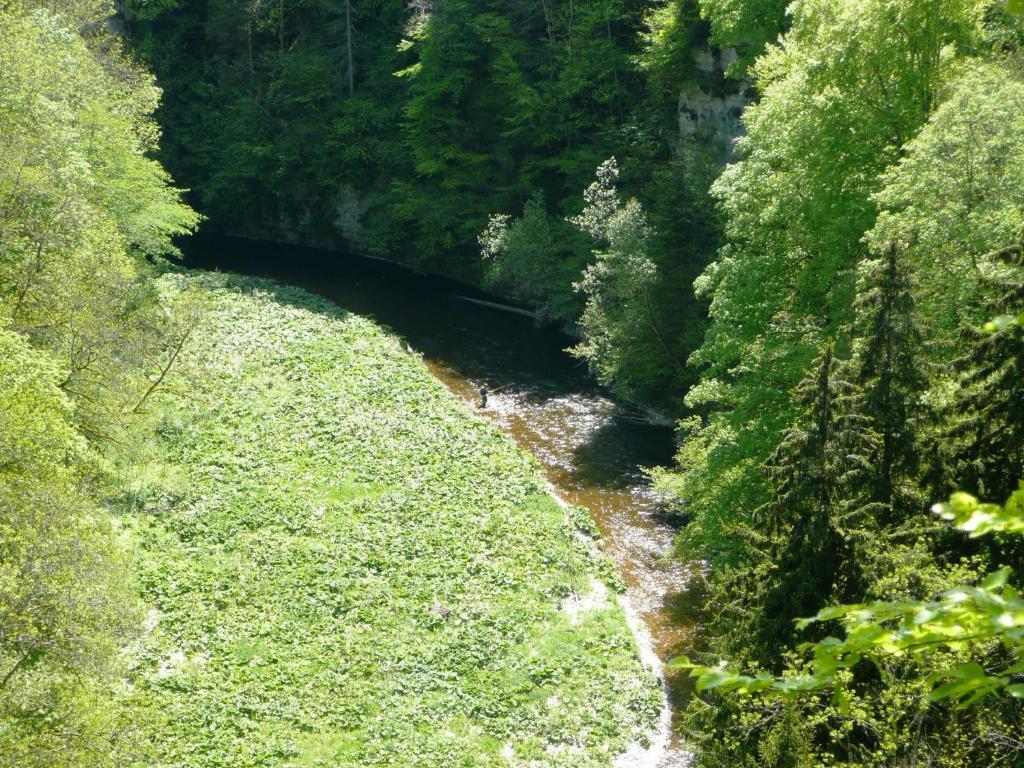 Wildkraeuter-Gasthof Linde Löffingen Buitenkant foto